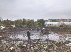 静乐河道鱼塘清淤